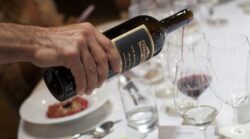Read more about the article Don Maximiano, la historia contada en un vino
