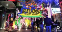 Read more about the article Experimenta el único Jardín de Tequila del mundo en Pilo’s Tequila Garden