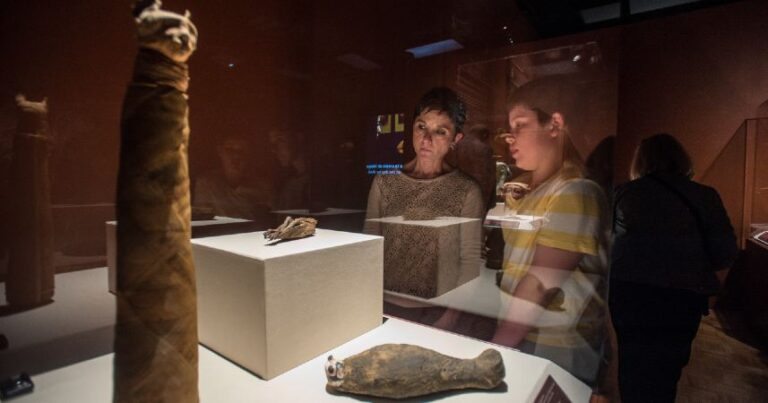 Read more about the article El Museo de la Ciencia  Phillip And Patricia Frost  expondrá la colección de momias más grande jamás reunida este verano