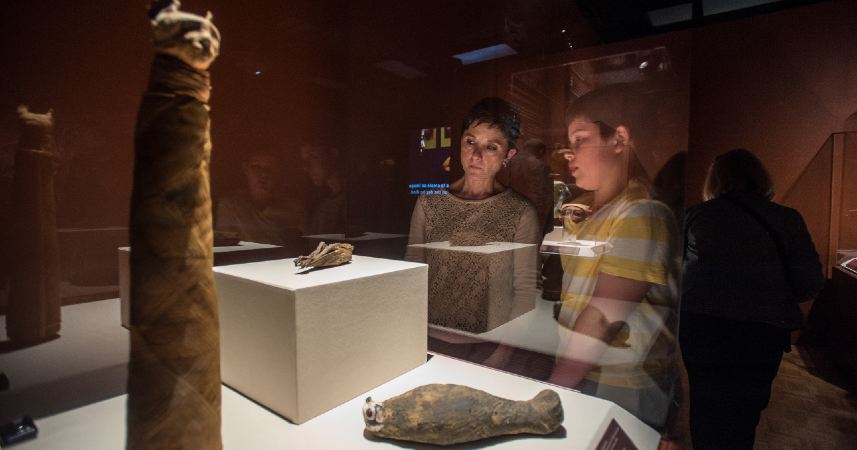 You are currently viewing El Museo de la Ciencia  Phillip And Patricia Frost  expondrá la colección de momias más grande jamás reunida este verano