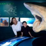 Descubre el Fascinante Universo de los Tiburones en el Phillip and Patricia Frost Museum of Science esta Temporada