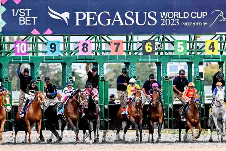 You are currently viewing Pegasus World Cup 2024: Una Fiesta de Lujo y Velocidad en Hallandale Beach