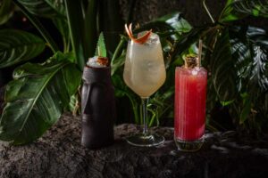 Read more about the article Los Mejores Mocktails de Miami para un Espectacular “Enero Seco”